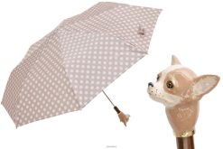 Umbrella | NZ PASOTTI Women 257 55874-153 K70pa - Folding Chihuahua VB8JV595